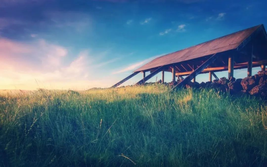 国宝大熊猫三年级下册作文范文,国宝大熊猫作文300字左右整篇