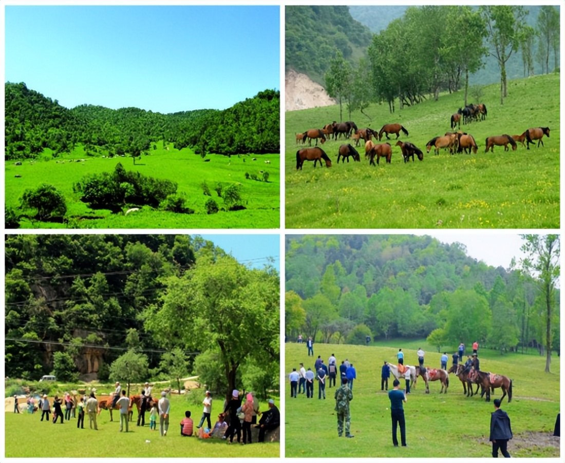 天水旅游攻略夏天去哪玩,千山万水天水