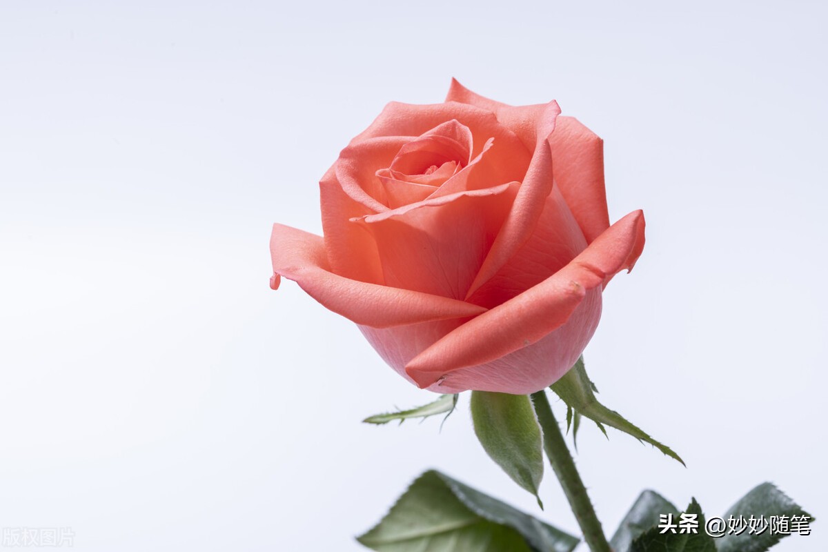 安全感责任感到底是什么,缺乏安全感到底是什么