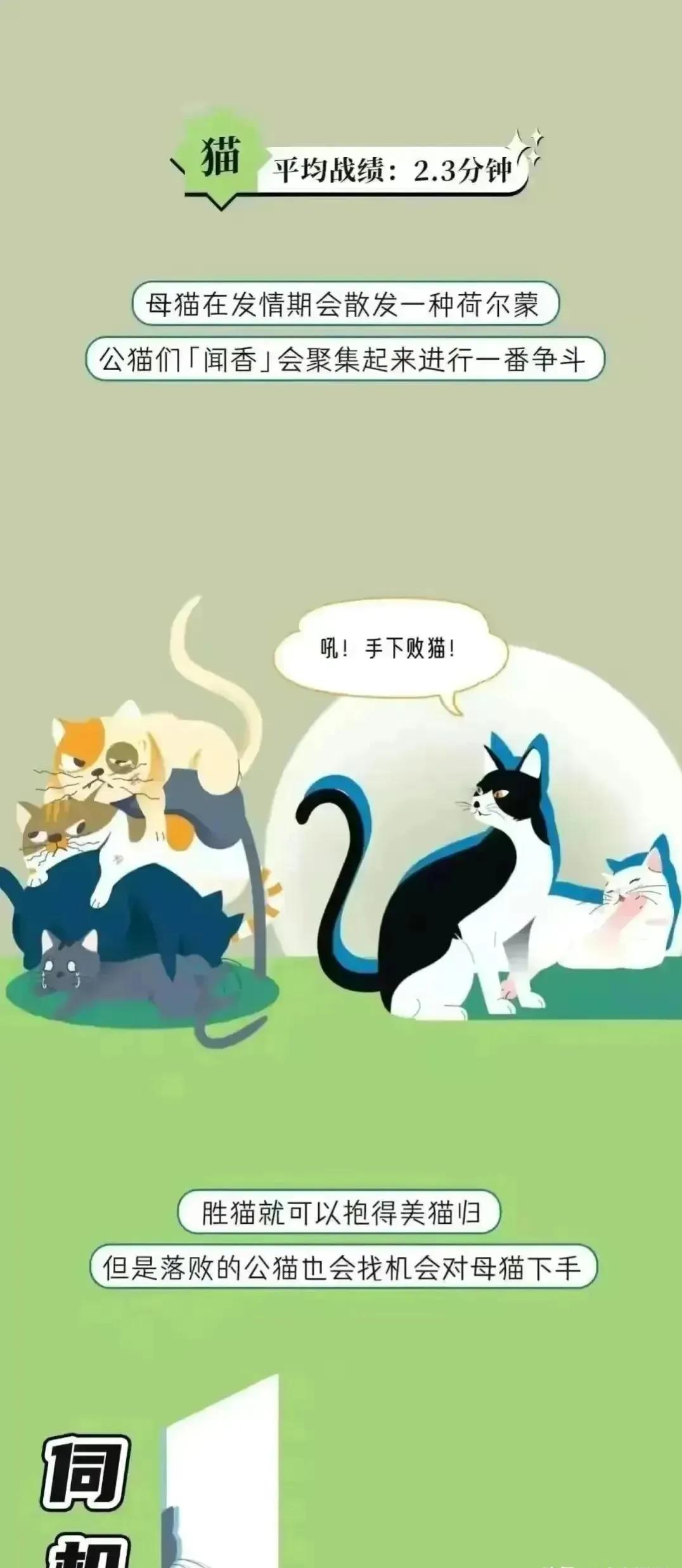 人类受孕时长是多久,人类正常受孕多久