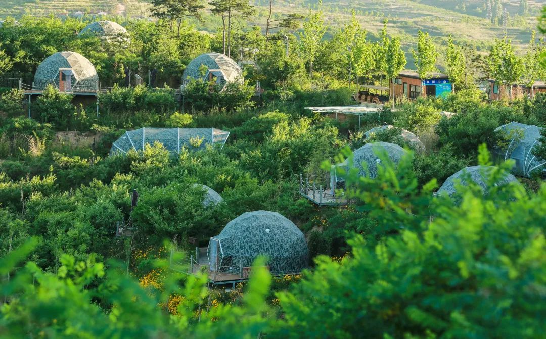 游山玩水、炫烧烤！淄博两日游路线新鲜出炉！你的周末，应该这么玩~