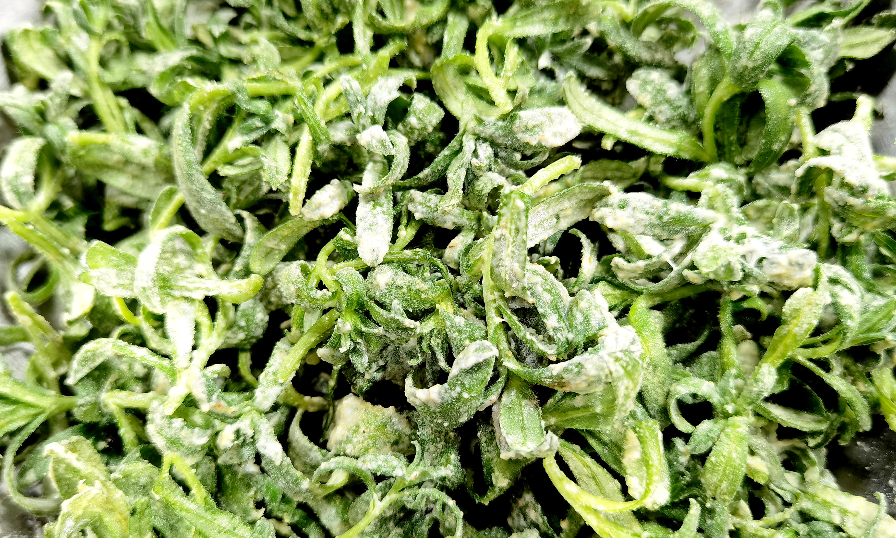 被误解的蔬菜,被误解的食物都有哪些