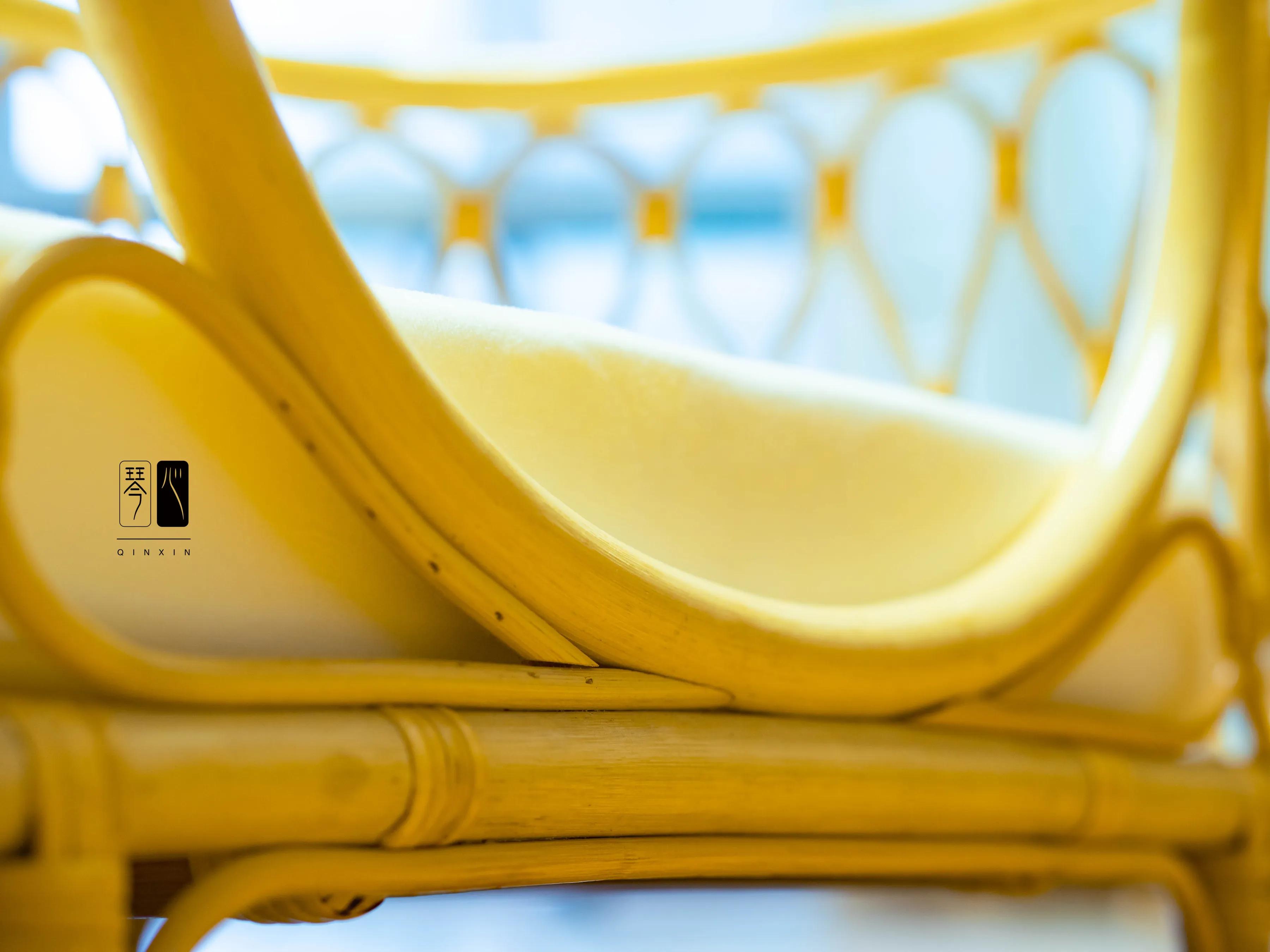 猫生快乐🎂❤️👻－昔爷一岁啦