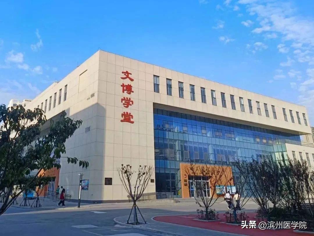 滨州医学院2023年本科招生计划,2020年滨州医学院招生计划一览表