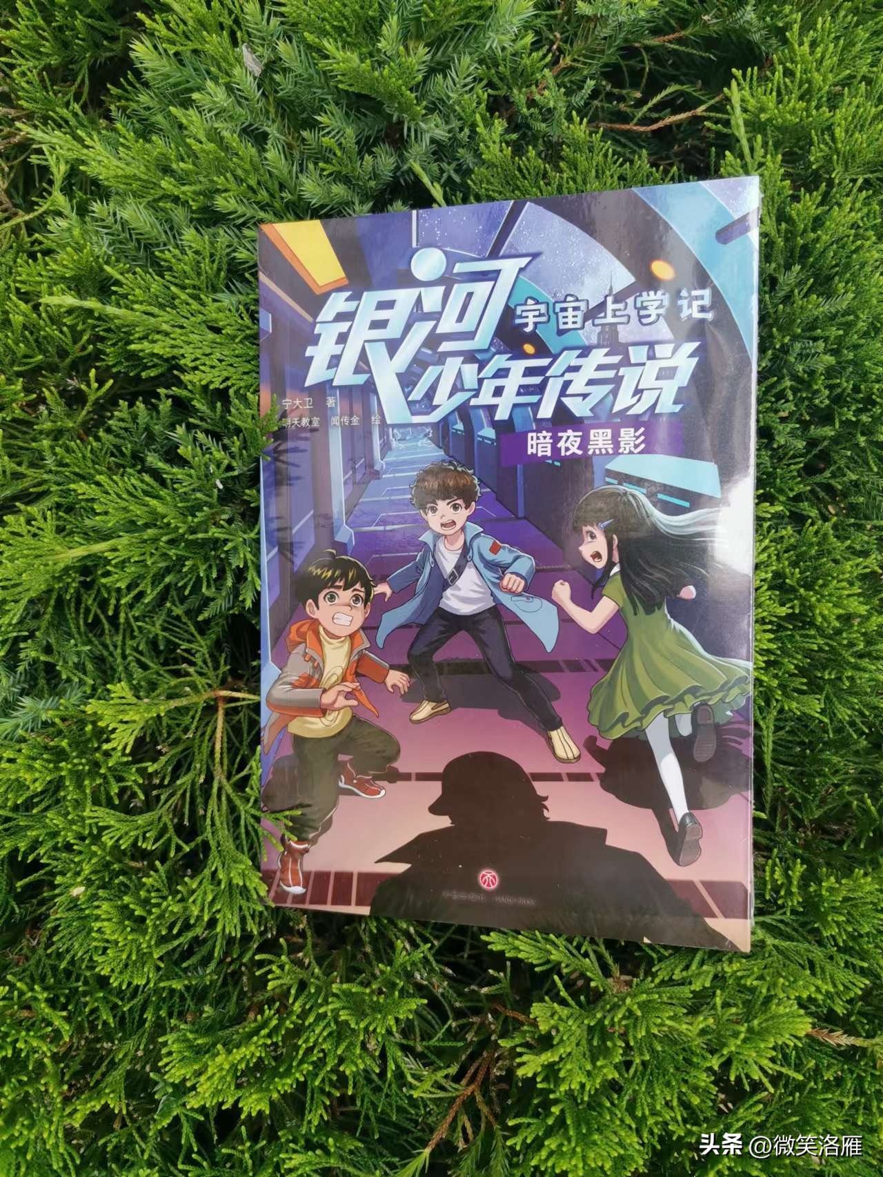 小时候看的悬疑推理的书,适合12岁女孩看的解谜悬疑书