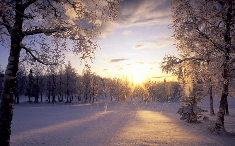 为什么冬天出太阳也不暖和,为什么冬天的太阳越来越暖和