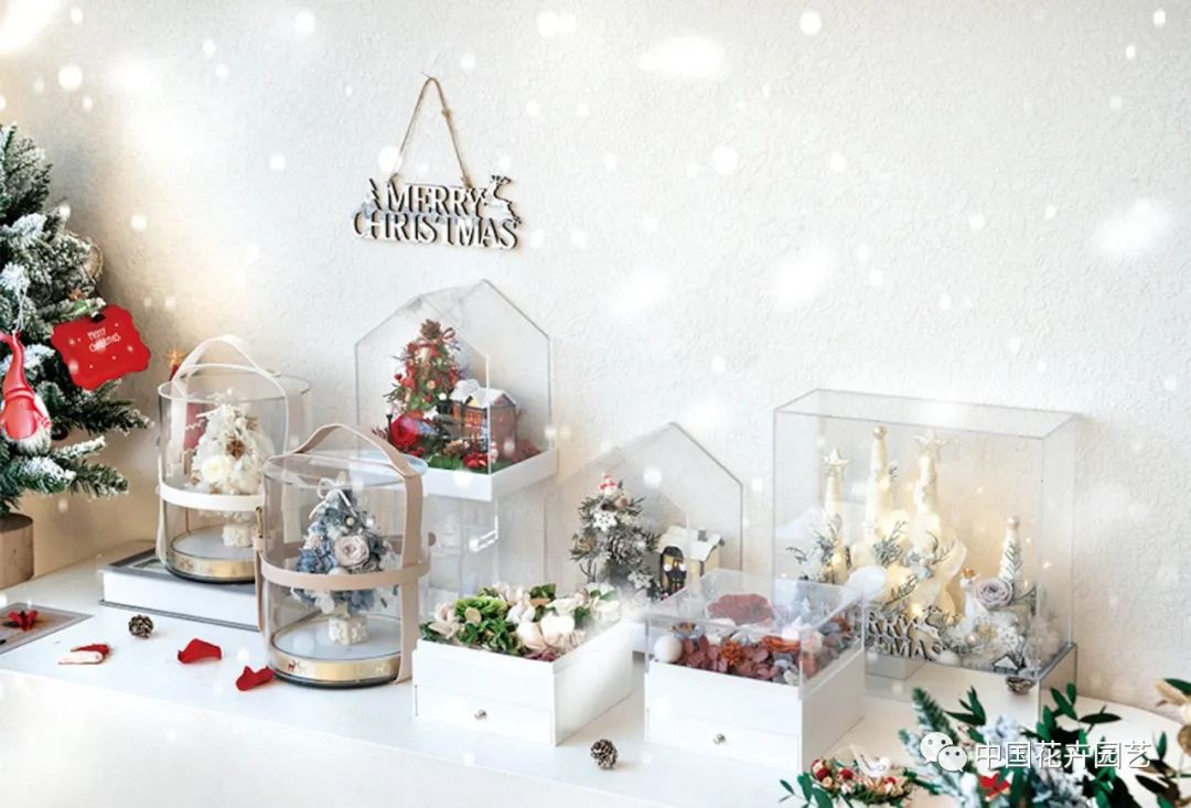 国产永生花或迎来发展新空间|“特别的花给特别的你”专题