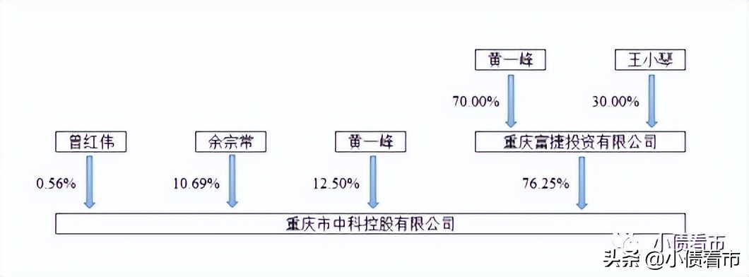 中科控股债务危机,中科控股出现债务危机吗