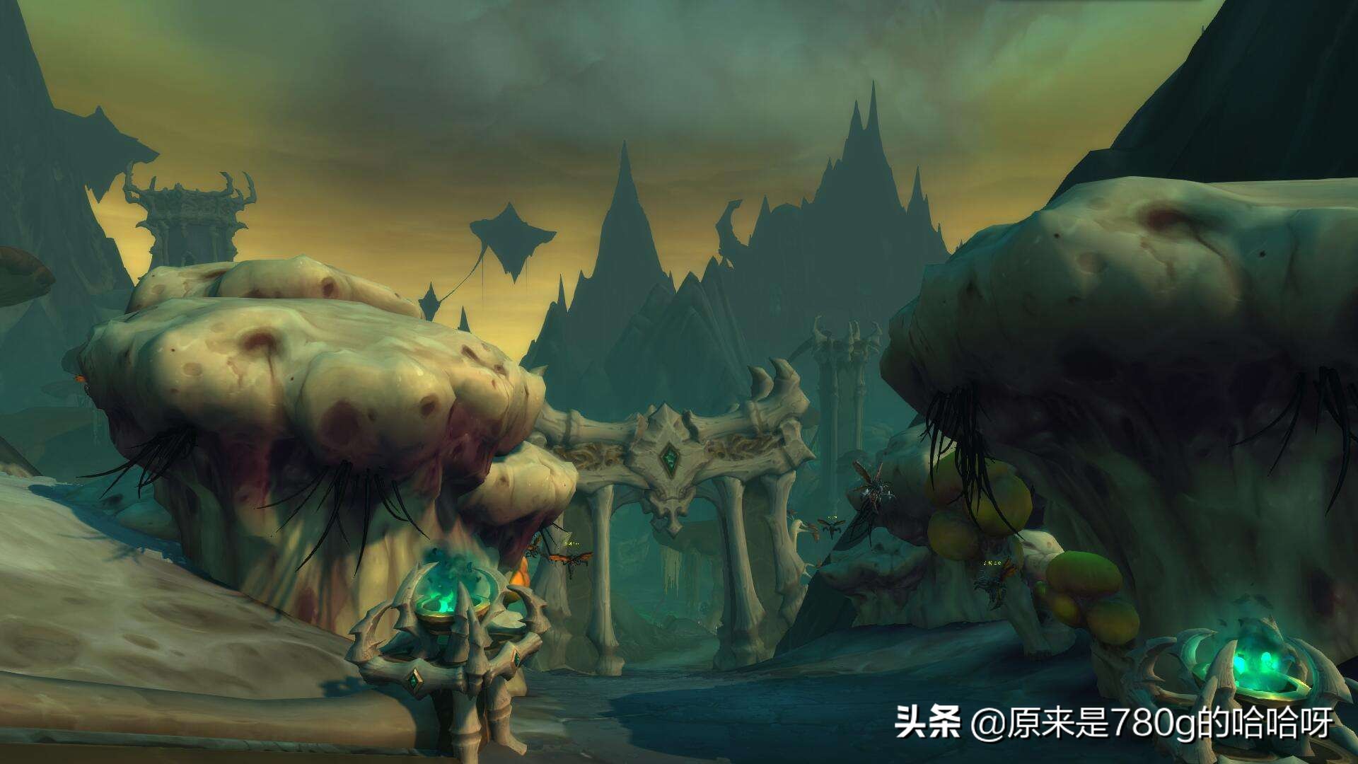 魔兽世界账号在哪里收,魔兽世界账号哪里收