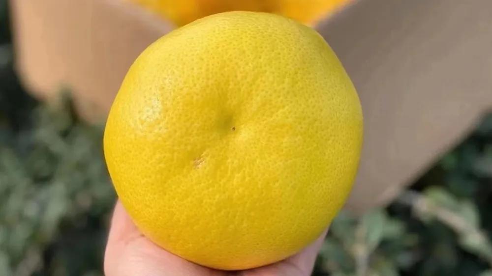 经营水果店营销方法话术大全,水果店的营销策略和管理方法