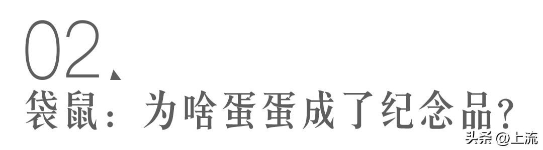澳洲公袋鼠,澳洲的公袋鼠
