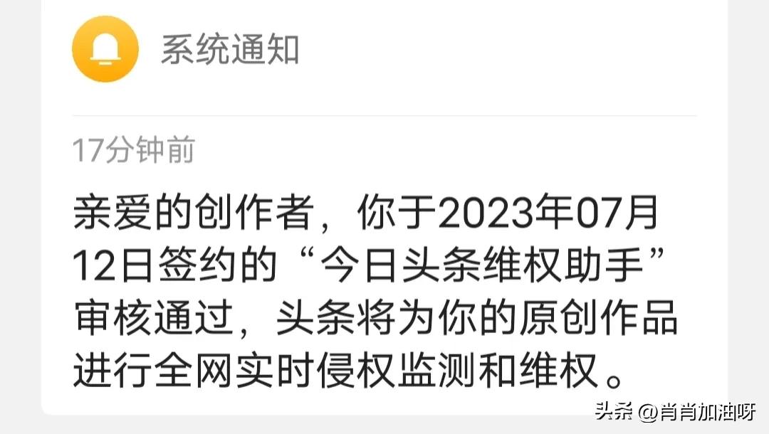 首发全网维权多久审核通过,开通首发全网维权后多久生效