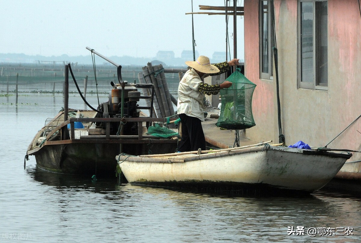 阳澄湖大闸蟹高温产量减少,阳澄湖大闸蟹高峰期持续多长时间