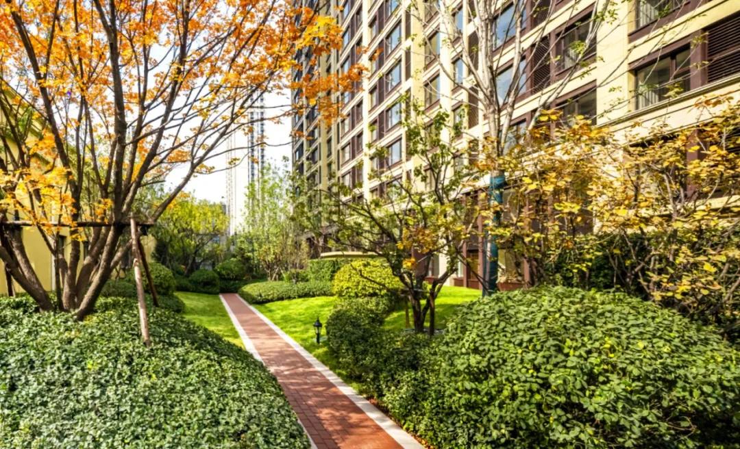 融创外滩壹号院你是我的荣耀,融创外滩壹号院生活体验