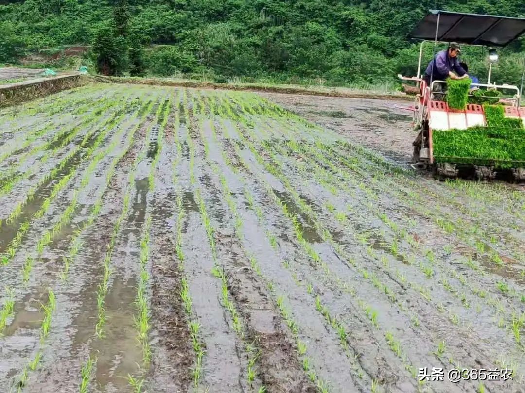 晴天蓄水雨季放水池,晴天挖沟渠阴天下雨