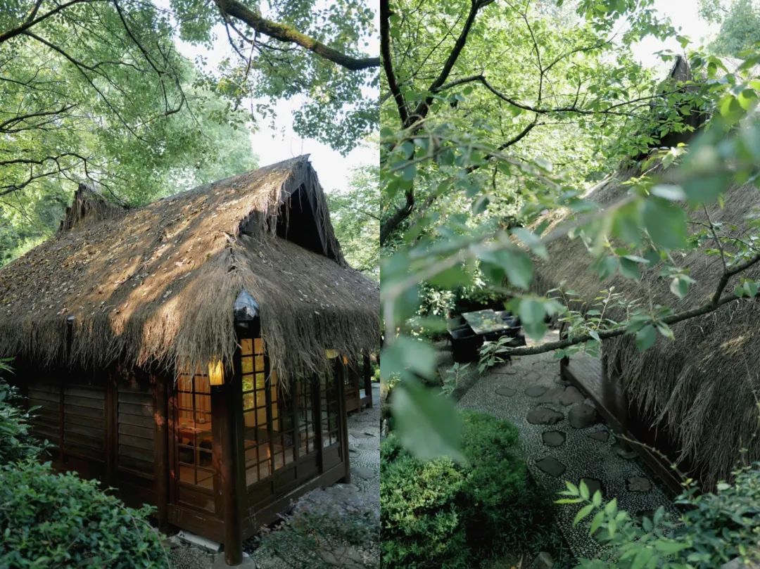 在杭州，会玩的人夏天都来这了