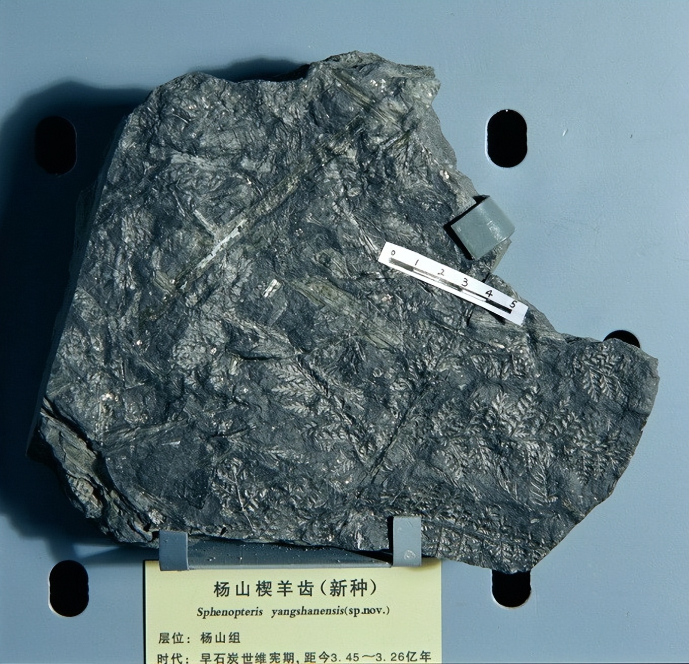 九华山三大特色,九华山有什么美丽景色