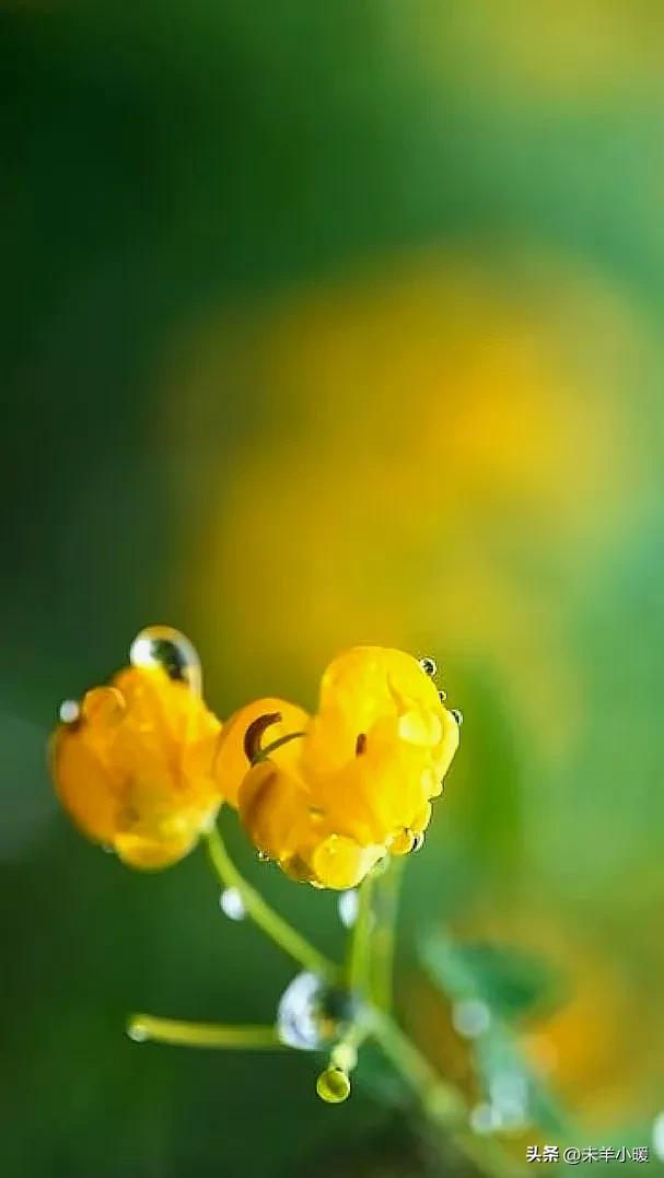 最美的手机壁纸大全,养眼养心的壁纸