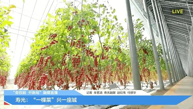 疯狂连更！山东这场持续两个月的直播，观看量超3.7亿