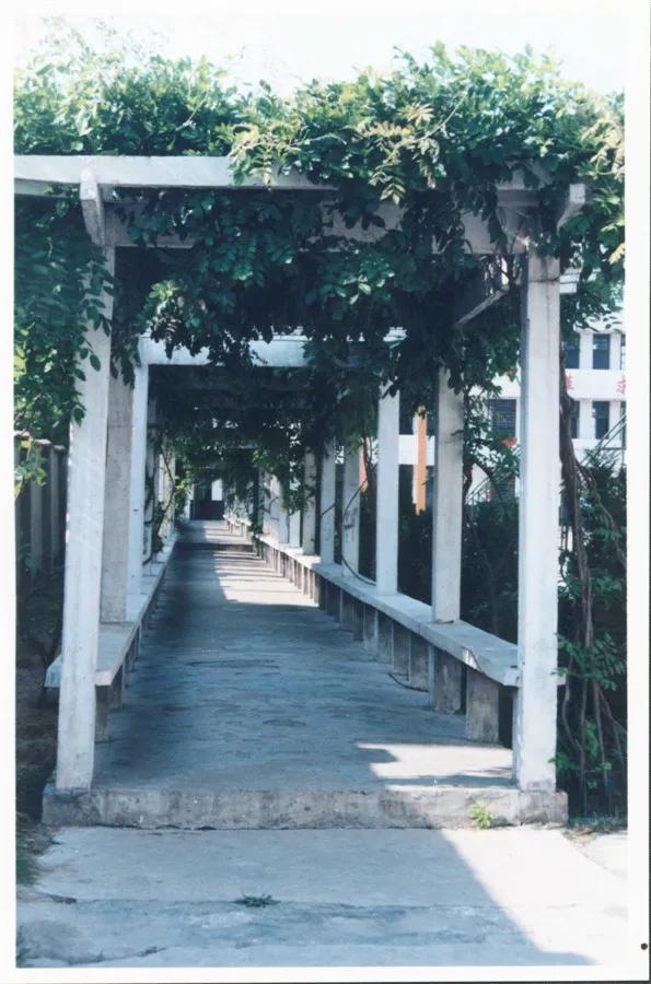 淮阴供销学校现在叫什么,淮阴供销学校原貌