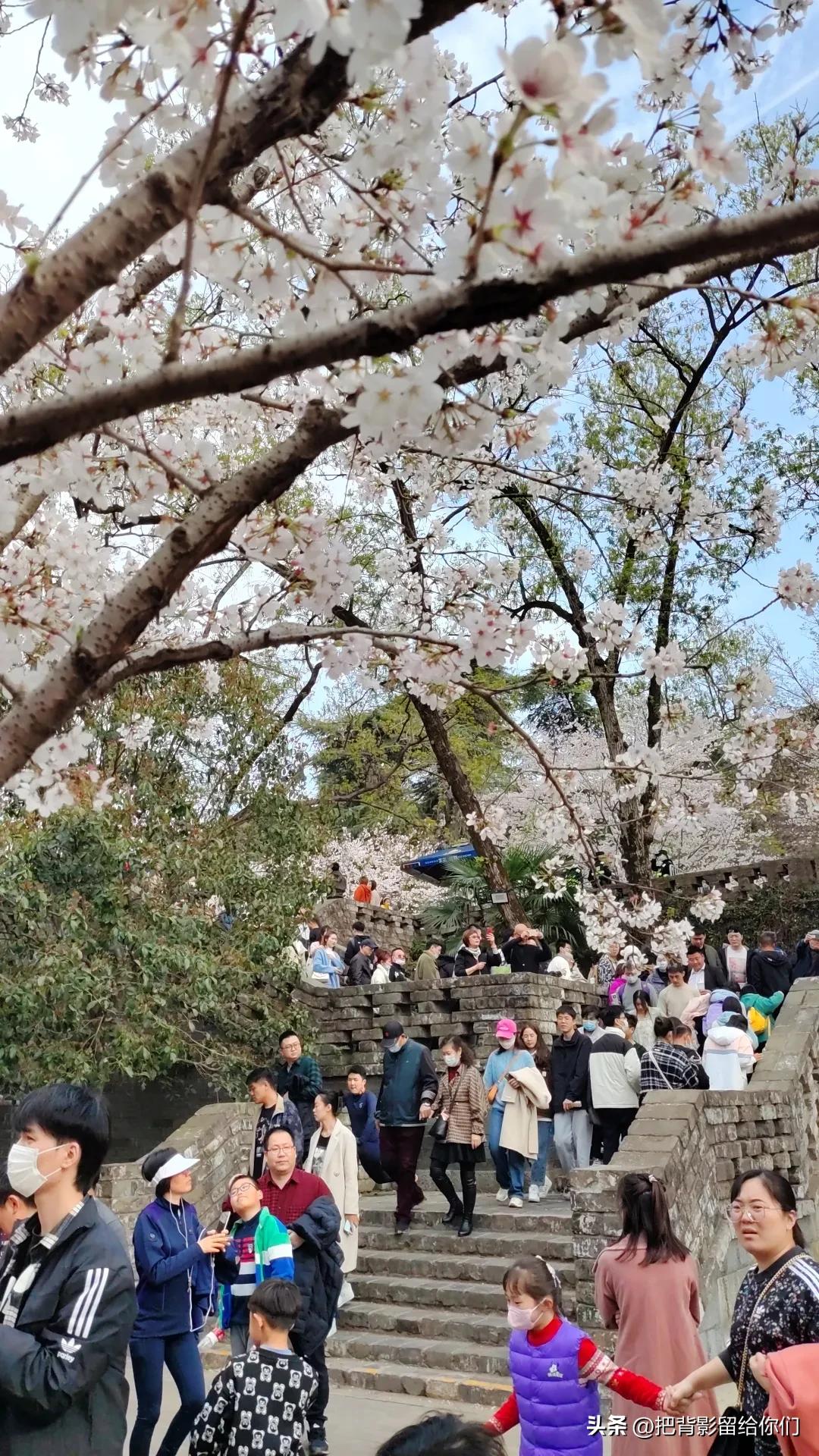 我的大南京，你这是怎么了？