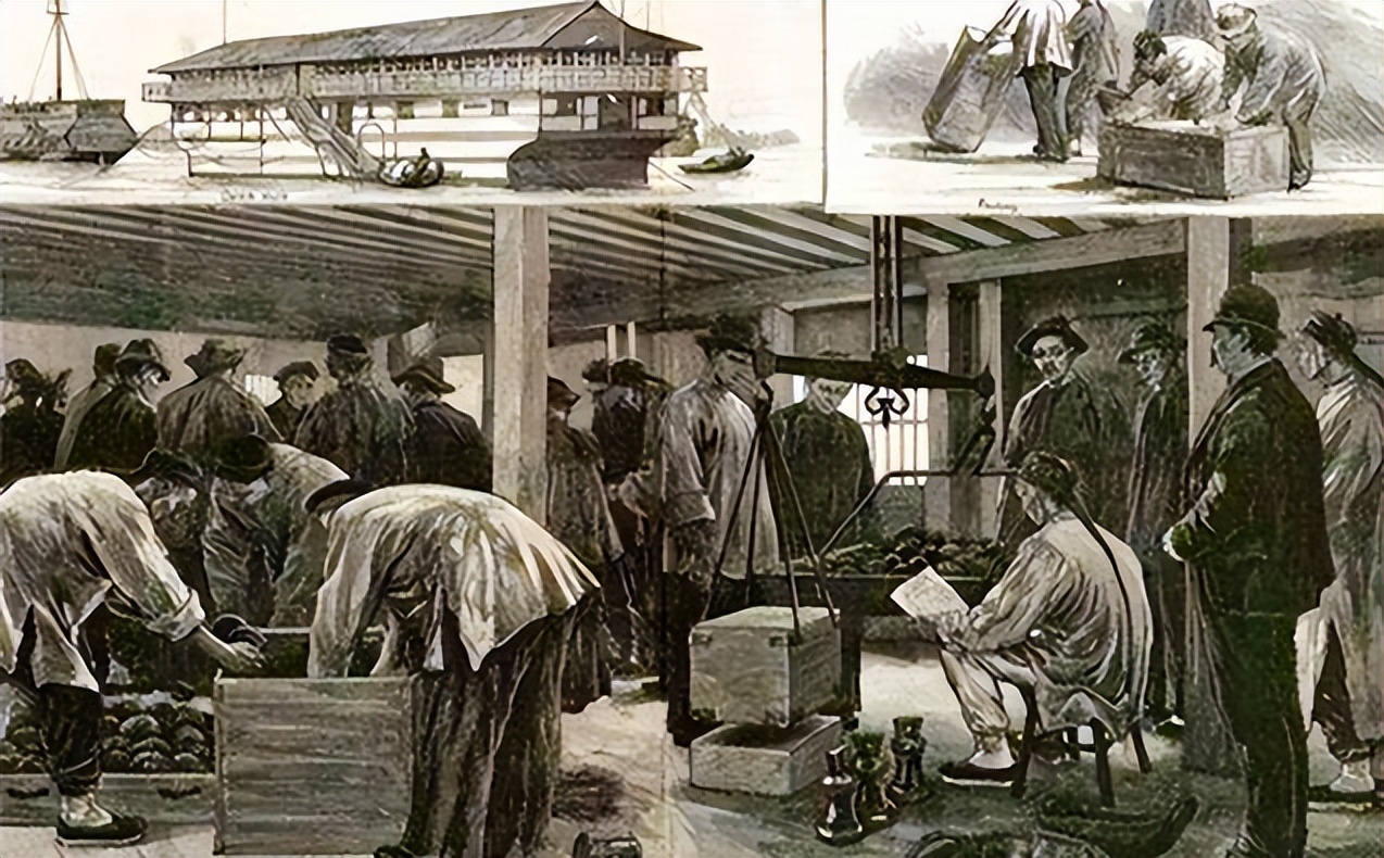 国奢轶事｜清朝国茶如何靠营销风靡海外？