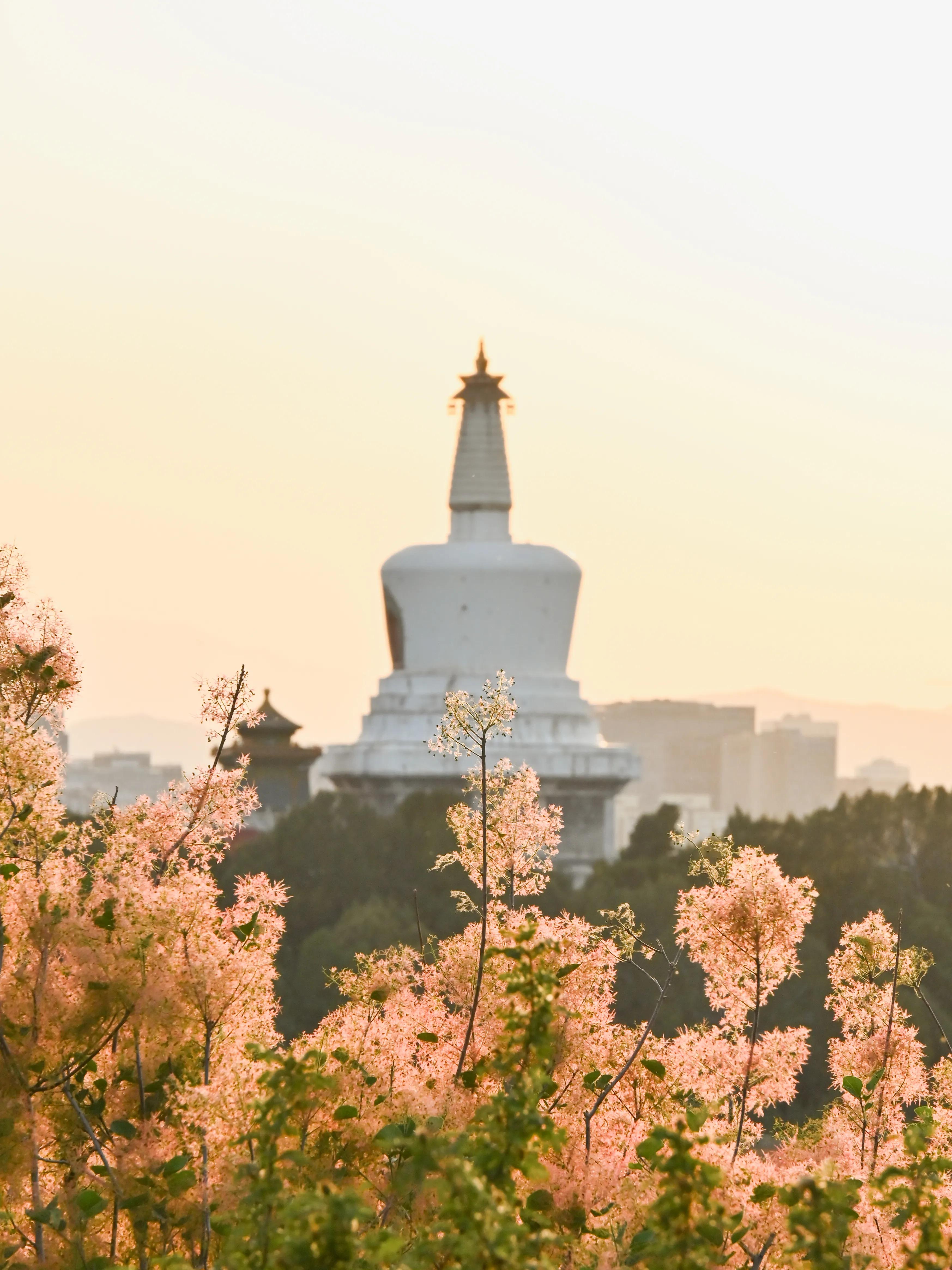 来北京一定要去一趟景山公园,人生建议来北京