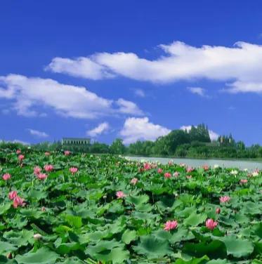 期货交易系统最简单就是最有效的,分享期货交易的最佳方法