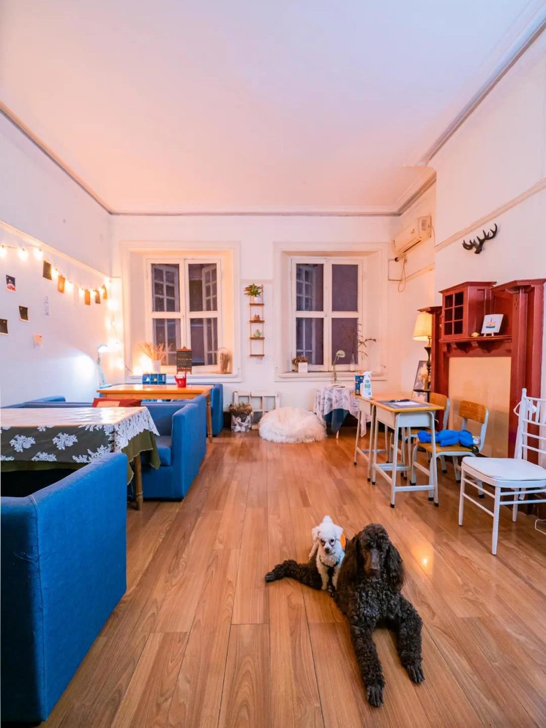 创业开店做什么项目好加盟,自己创业开店还是开加盟店