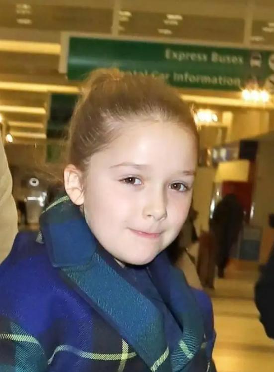 贝小七和贝克汉姆视频,贝小七贝克汉姆成长图片