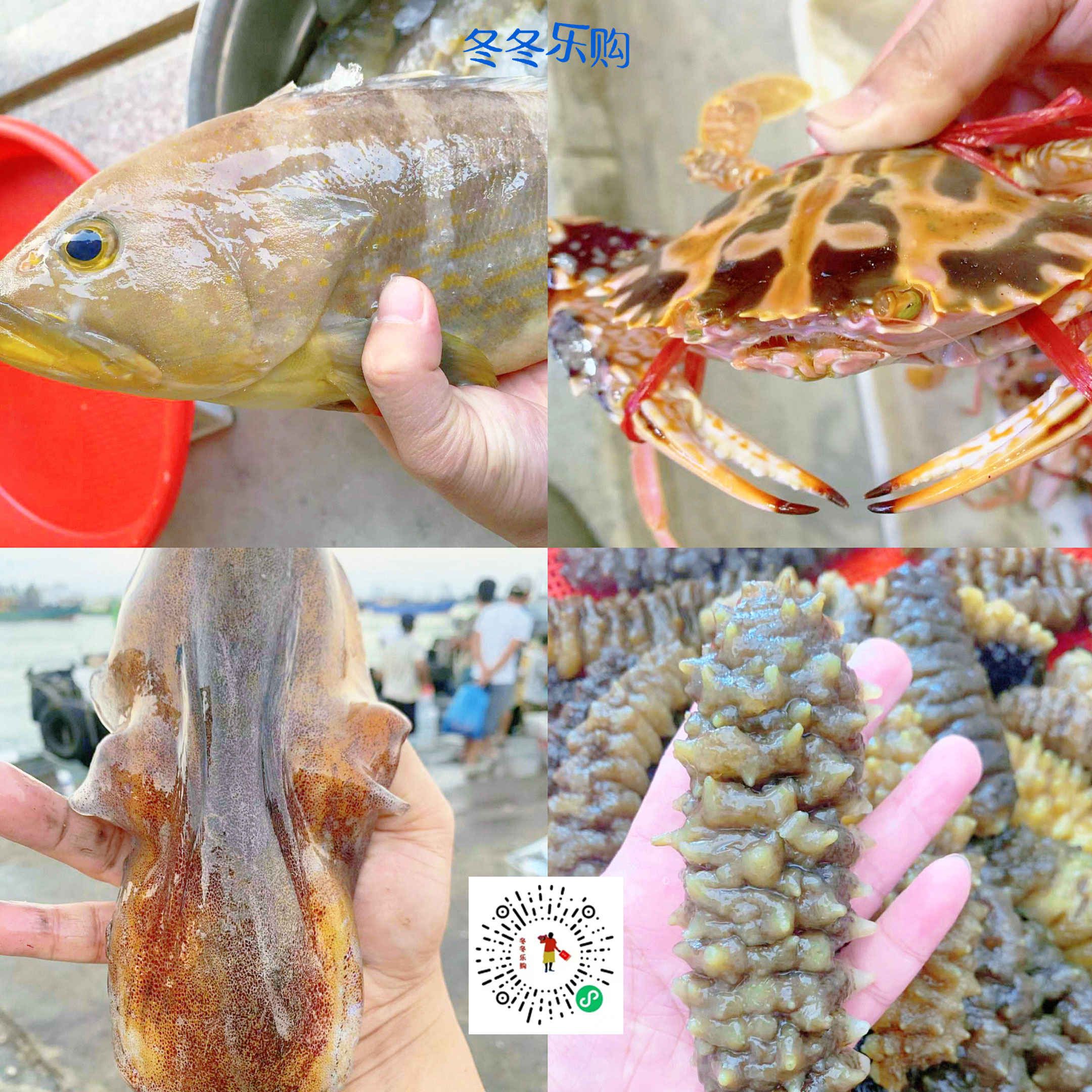 吃海鲜便宜的海边城市,国内哪个城市吃海鲜最好