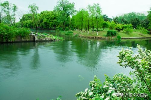 高中语文诗歌鉴赏常见典故和意象,高考诗歌鉴赏题目讲解