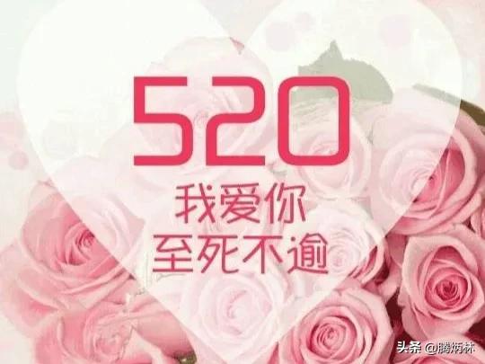 520情人节祝福语,情人节祝福语最温馨的话520