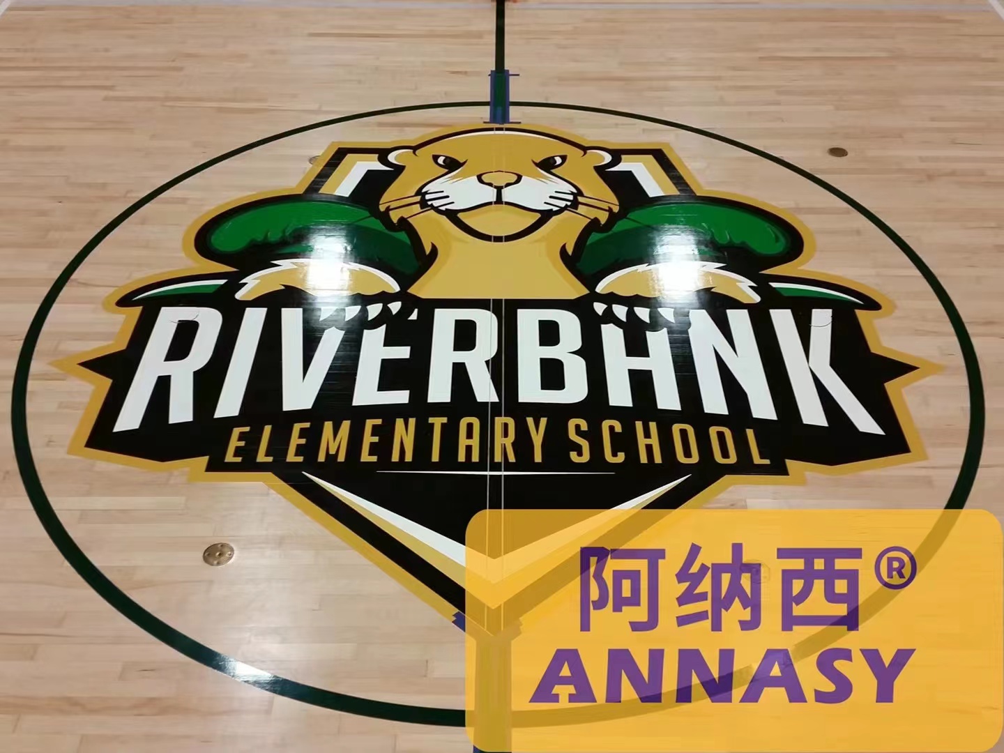 学校室内木地板篮球场效果图,室内篮球馆塑胶地板效果图