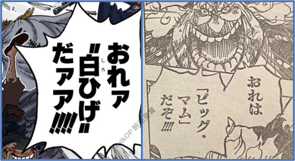 「流星电台」海贼王10641065分析-高质量解读