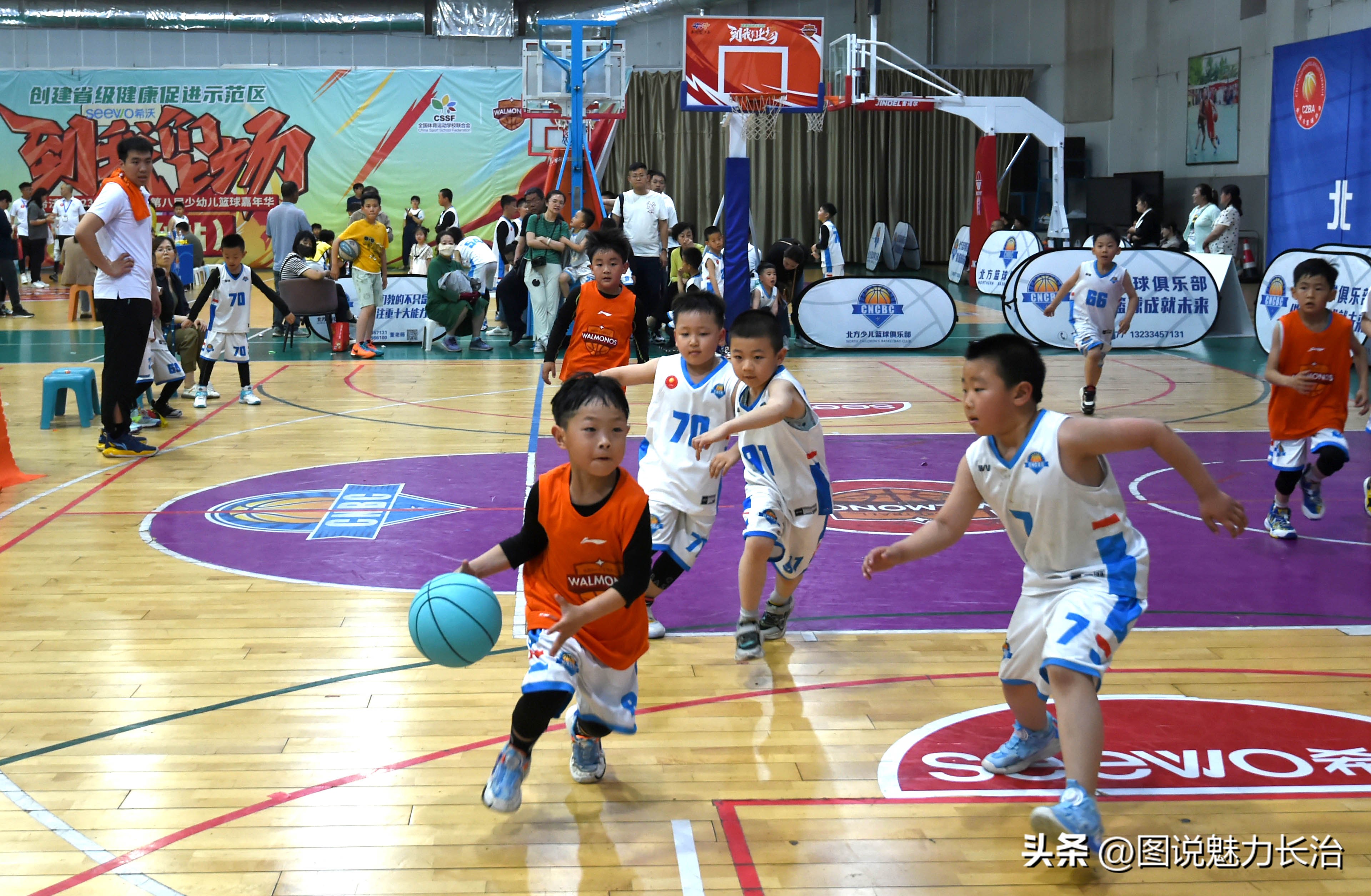 6岁篮球小将惊艳全场,六岁少儿篮球联赛总决赛