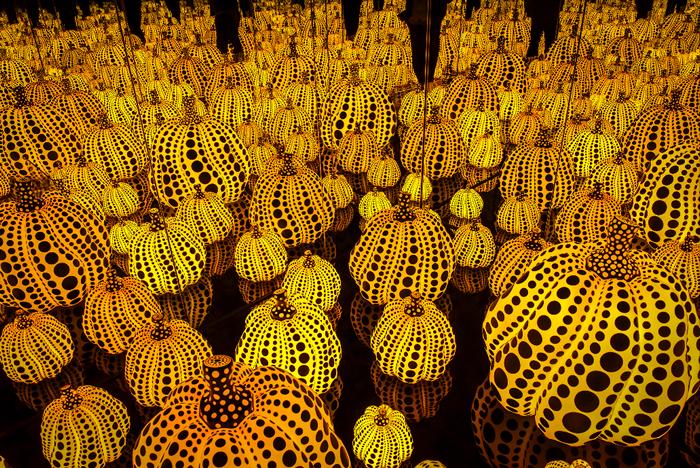 在无情的世界里有情的活着,在无情的世界里有份牵挂