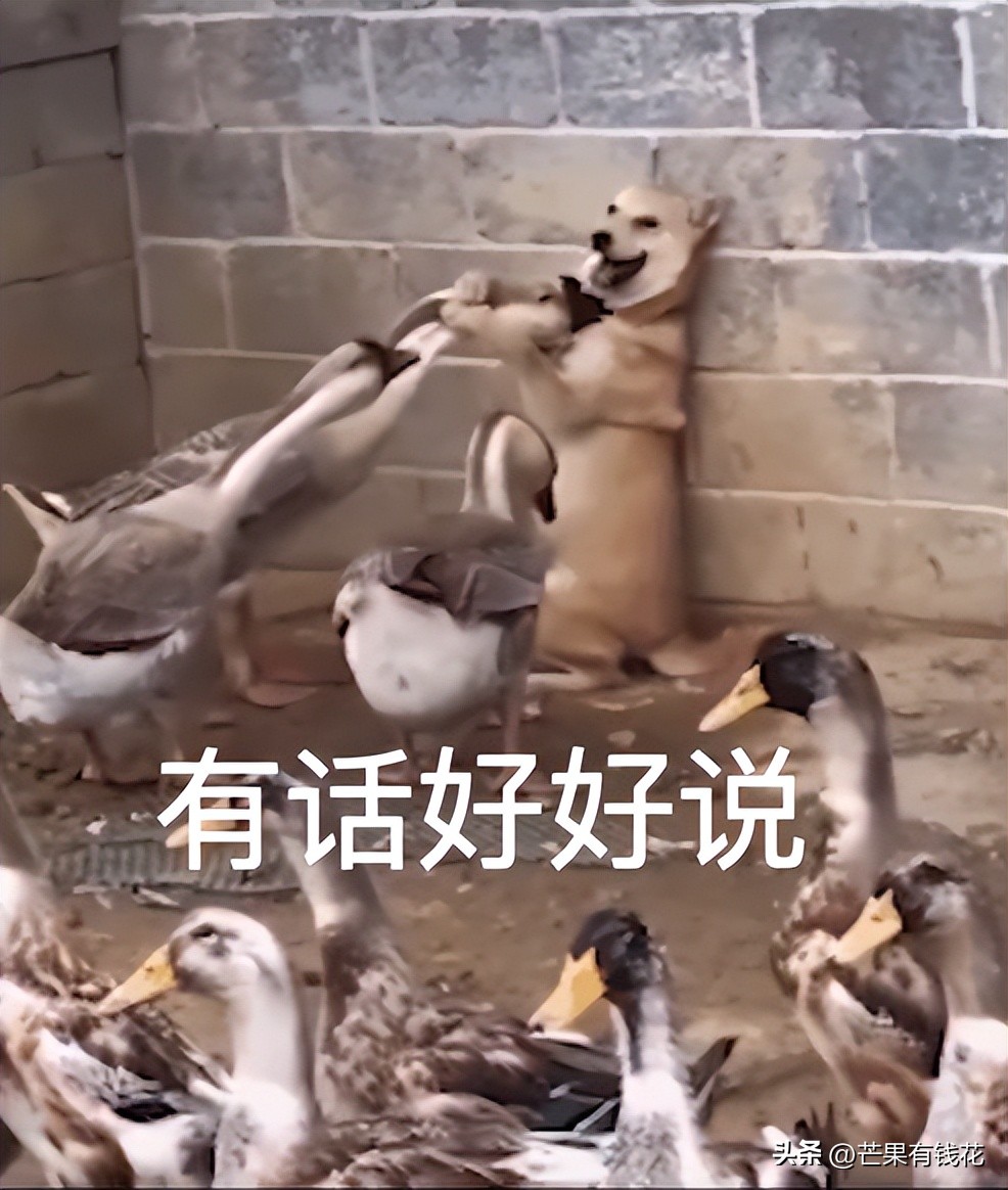 新手怎么学炒股赚钱,新手如何炒股不亏本