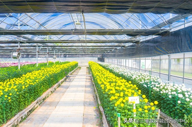 智慧农业为乡村振兴注入新活力,大力发展智慧农业助推乡村振兴