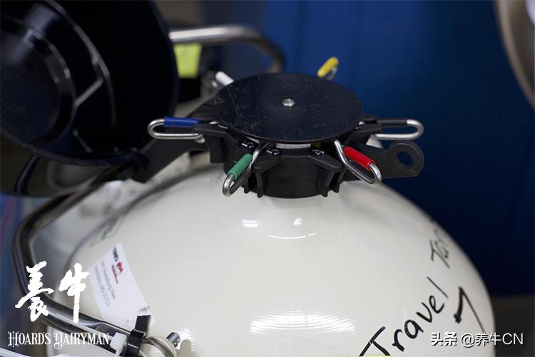 牛冻精怎么授精,冻精配种技术