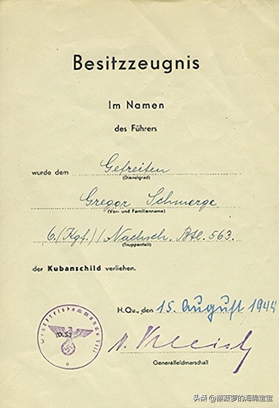 霍尔姆盾章二战德国,二战德国军奖章