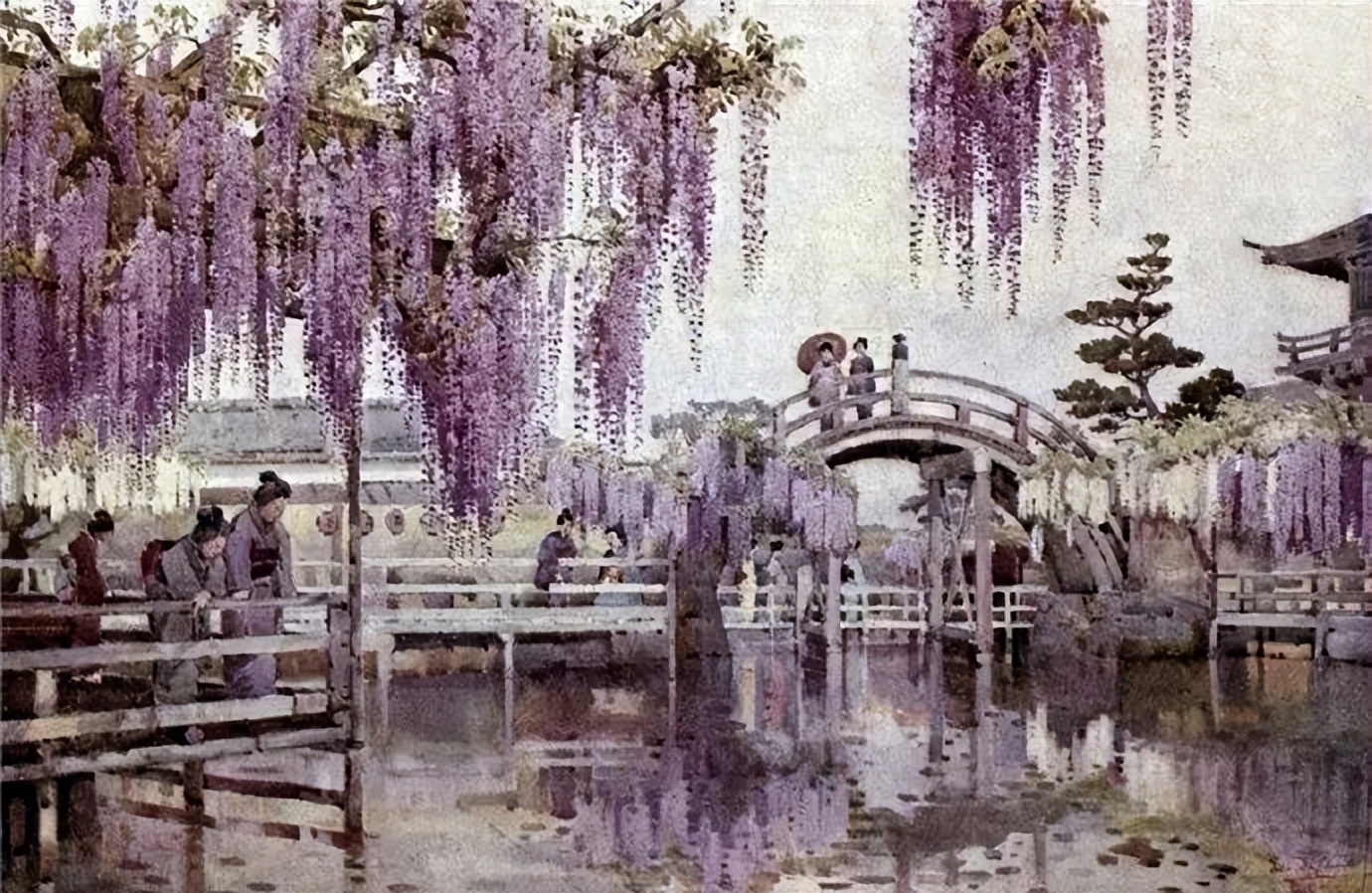 鑻卞浗鐢诲michael楂樻竻鍥剧墖浣滃搧,鑻卞浗姘村僵鐢诲elladucane缁樼敾浣滃搧