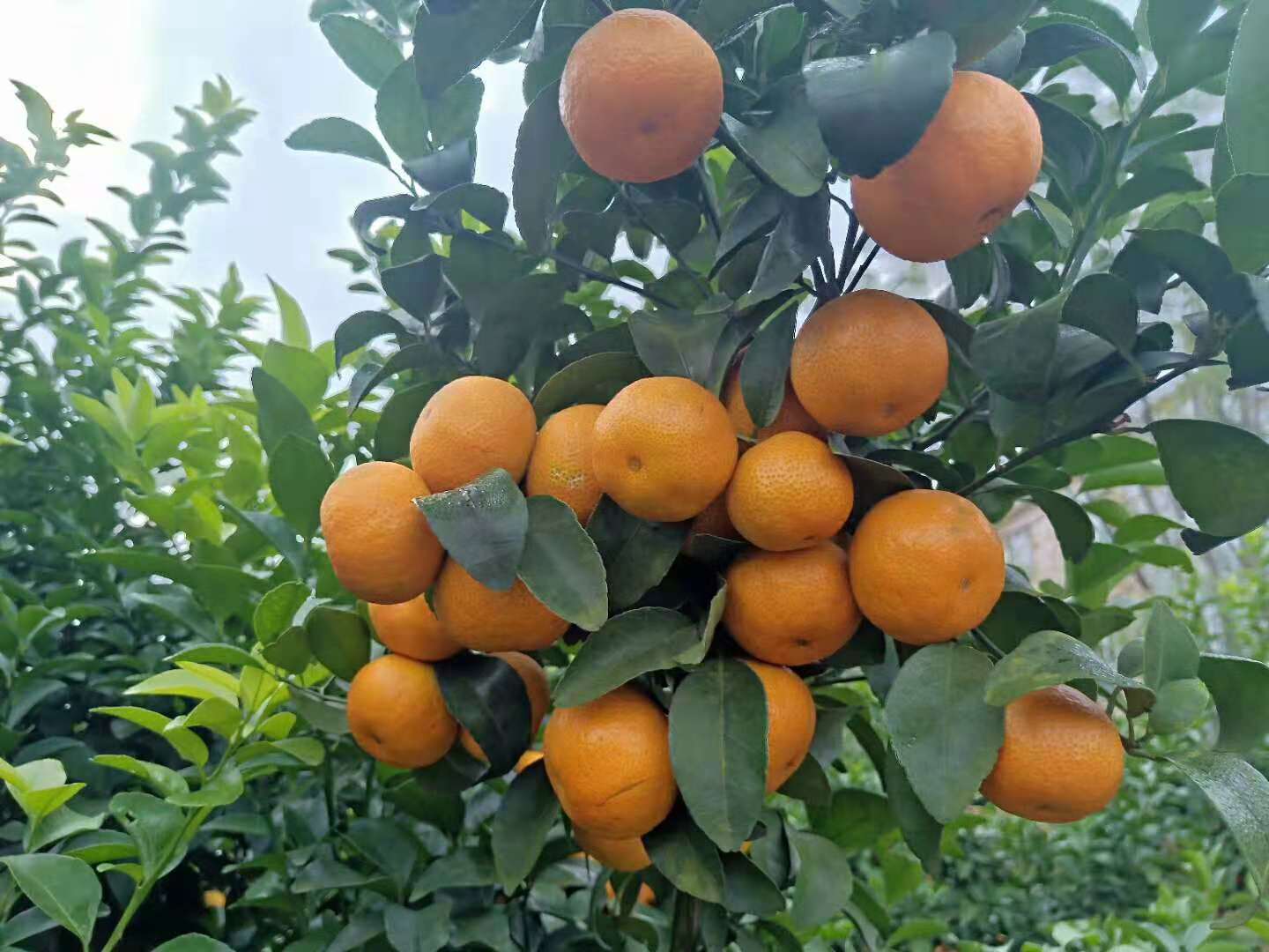 行业不景气怎么办,行业不景气如何创业