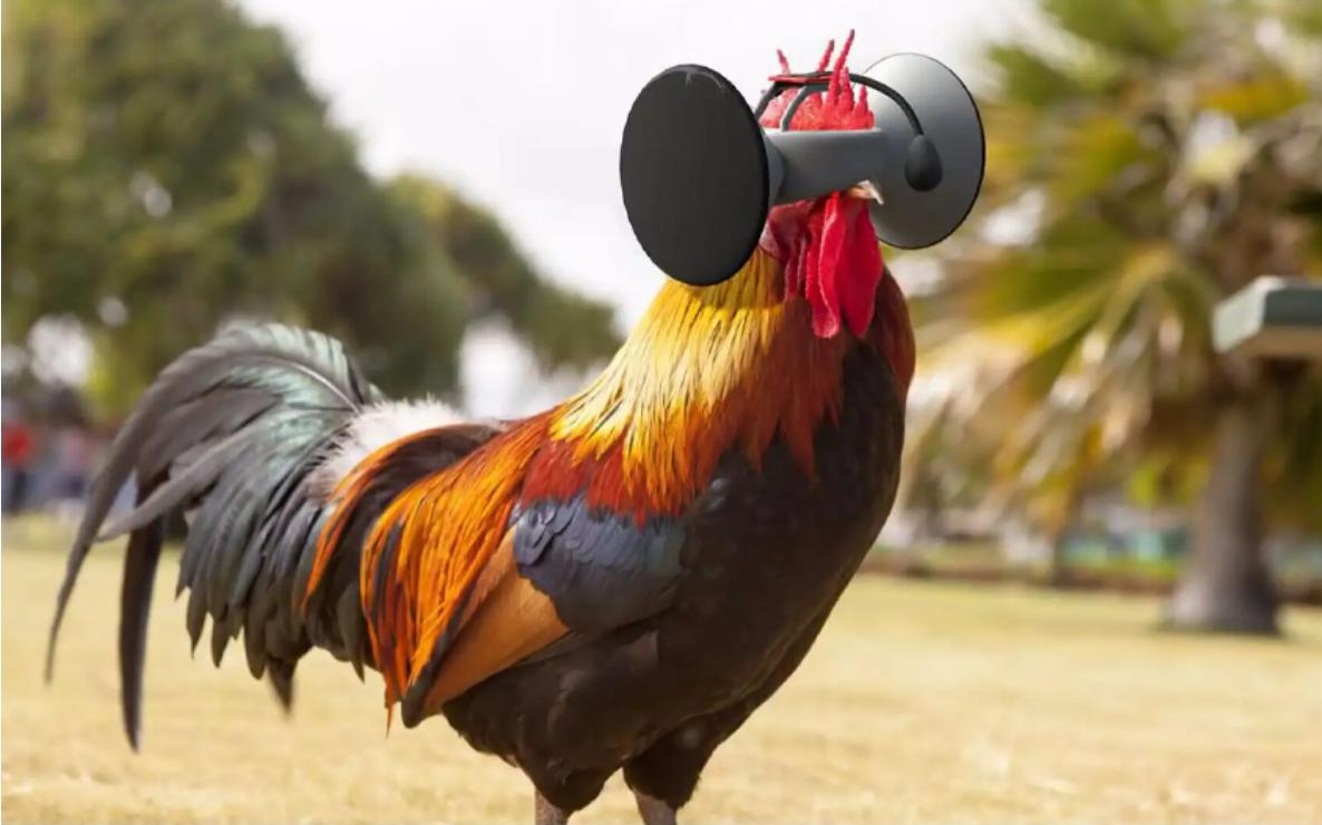 云台防抖是通过鸡头的原理,云台防抖是通过鸡头的原理吗