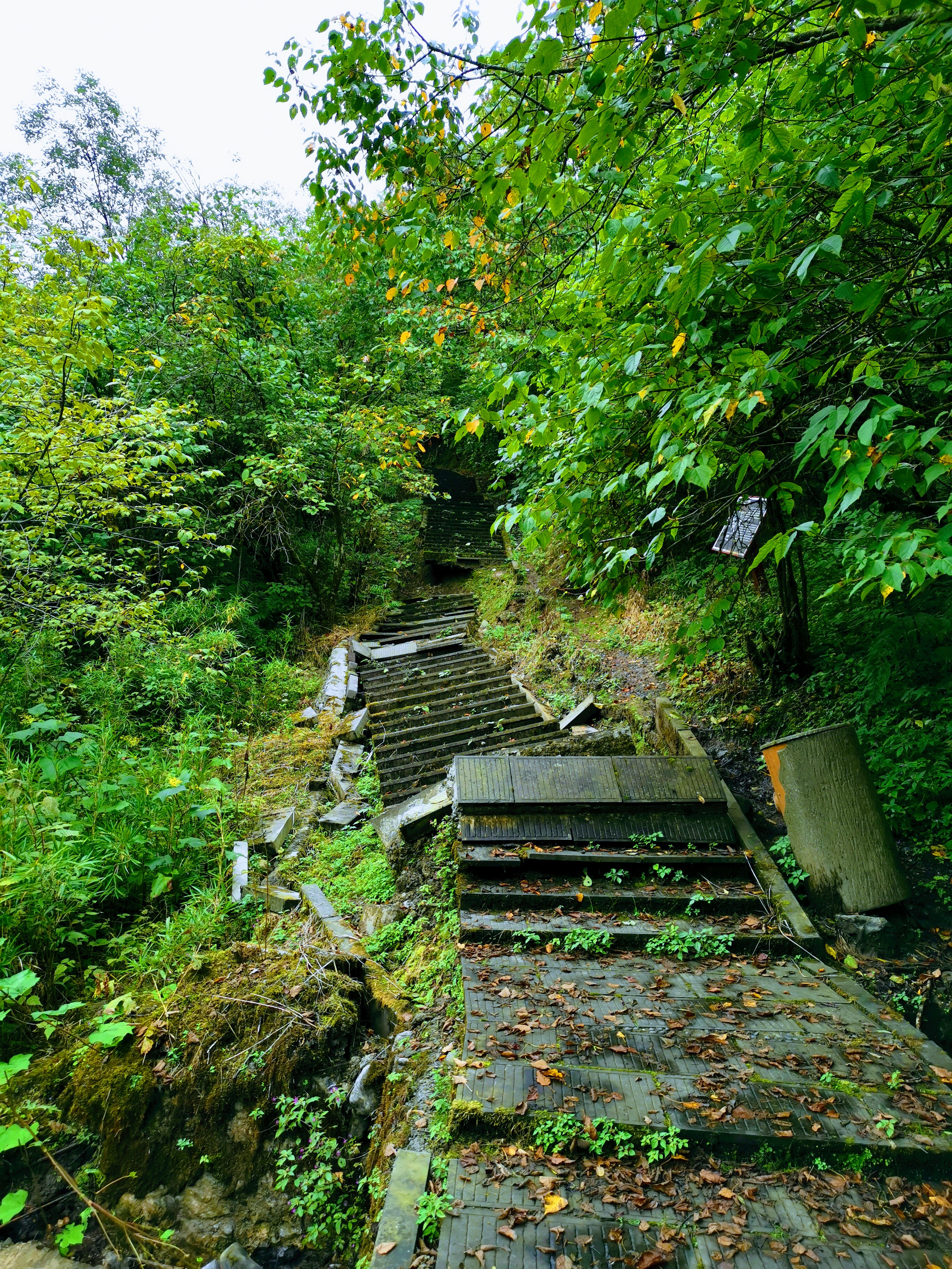 成都大邑徒步旅游攻略,大邑西岭雪山后山门票