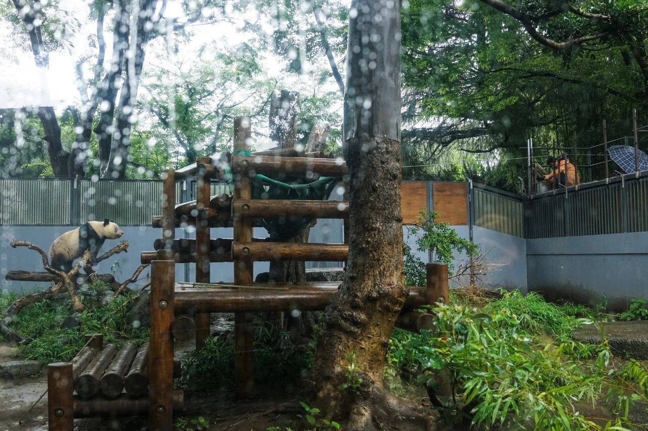 8个小时，他为“香香”按下了2000多次快门