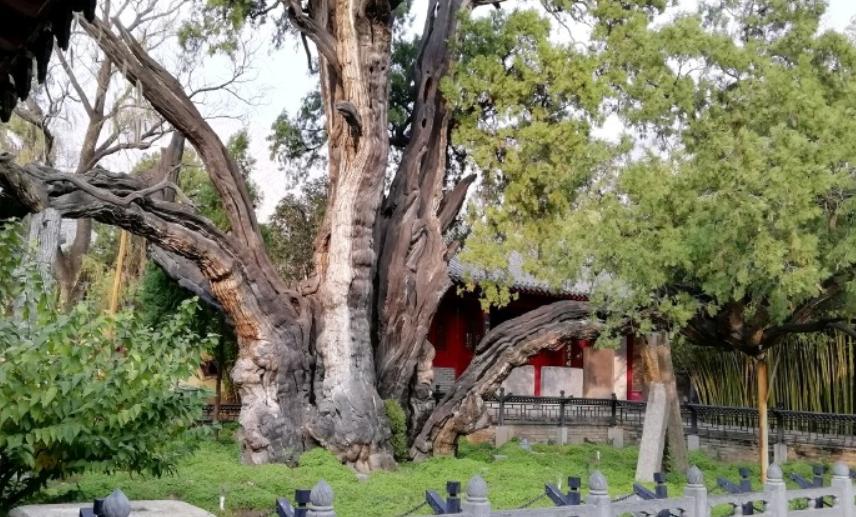 河南郑州周边最美自驾游,郑州最美短途自驾游路线攻略