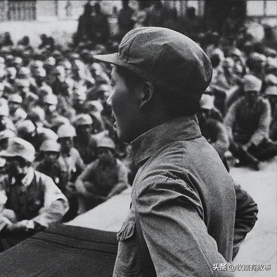 盾形徽章logo,盾牌和鸟的徽章