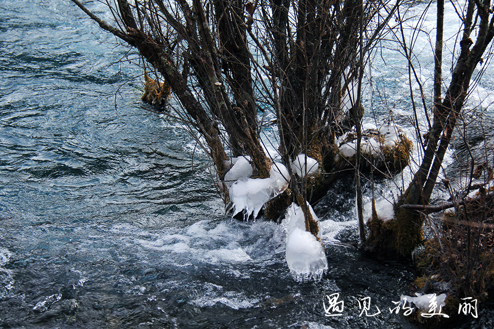 如果一生只去一个古城,一生去一次九寨沟