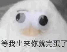 猩猩扔水瓶砸伤游客账号,动物园称猩猩砸伤游客系正当防卫